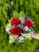 IMG_2187.jpg