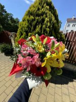 IMG_3613.jpg