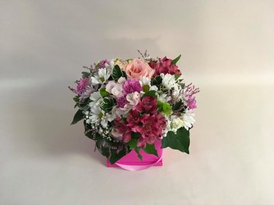 Kamélie_flowerboxy
